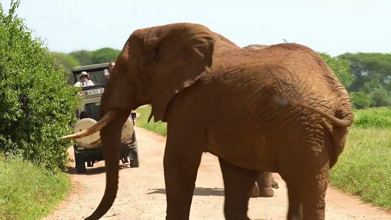 Arusha National Park