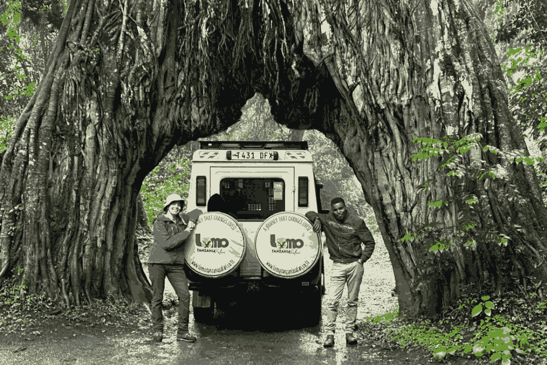 Arusha National Park Day Trip