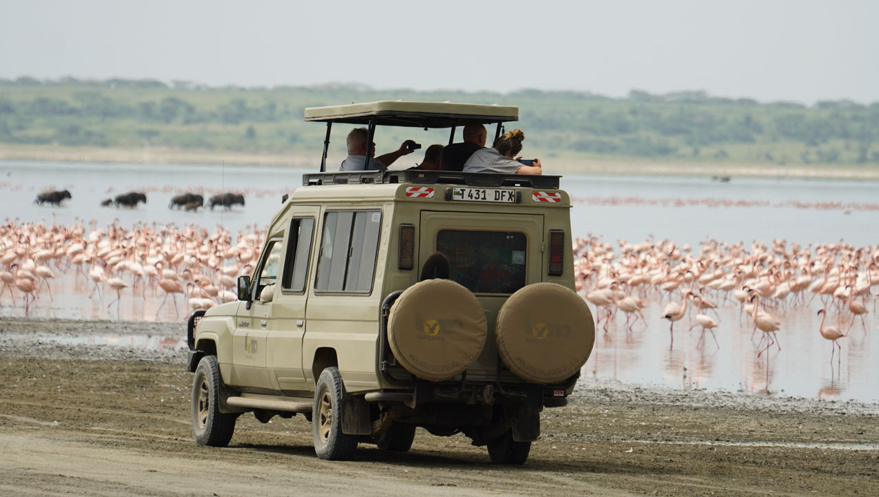 full-day-in-serengeti-national-park_1763109632.jpg