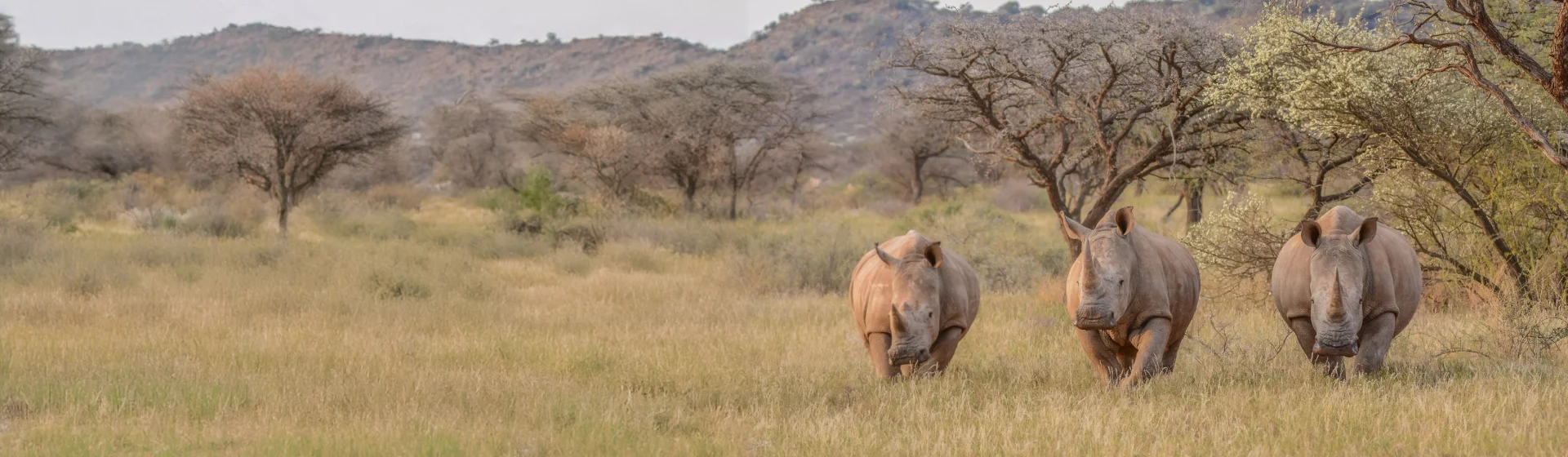 Mkomazi National Park