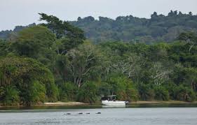 Rubondo Island National Park