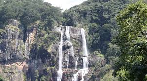Udzungwa Mountain National Park